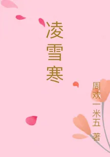凌雪寒 封面