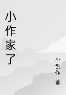 小作家了 封面