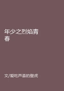 年少之烈焰青春 封面