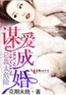謀愛成婚，總裁太危險！ 封面
