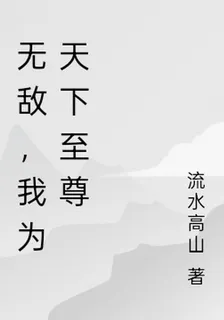無敵，我爲天下至尊 封面