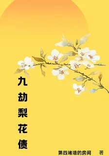 九劫梨花債 封面