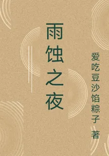 雨蝕之夜 封面