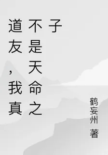 道友，我真不是天命之子 封面