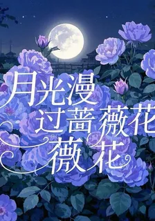 月光漫過薔薇花 封面