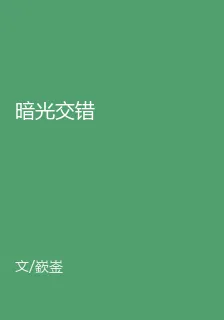 暗光交錯 封面