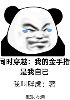 同時穿越：我的金手指是我自己 封面