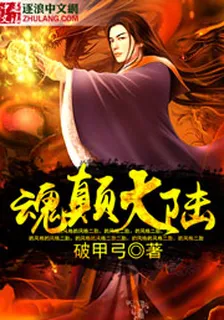 魂顛大陸 封面