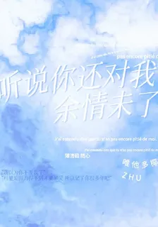 聽說你還對我餘情未了 封面