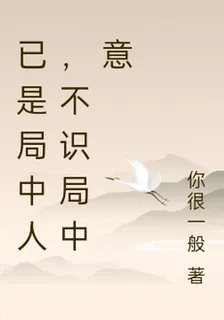 已是局中人，不識局中意 封面