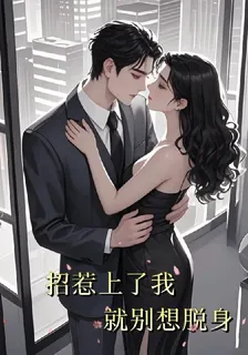 招惹上了我就別想脫身 封面