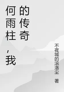 何雨柱，我的傳奇 封面