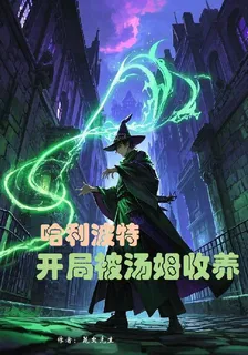 哈利波特：開局被湯姆收養 封面