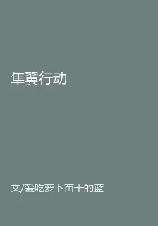 隼翼行動 封面