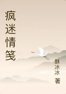 瘋迷情箋 封面