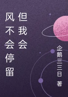 風不會停留但我會 封面
