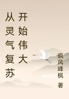 從靈氣復甦開始偉大 封面