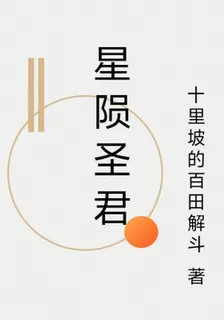 星隕聖君 封面