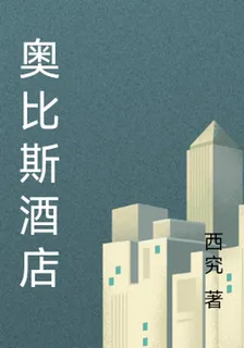 奧比斯酒店 封面