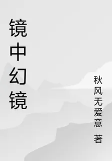 鏡中幻鏡 封面