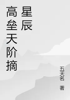 高壘天階摘星辰 封面