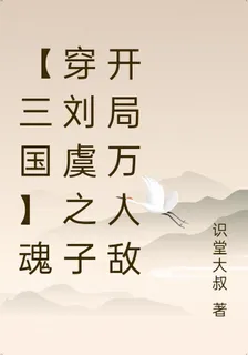 【三國】魂穿劉虞之子開局萬人敵 封面