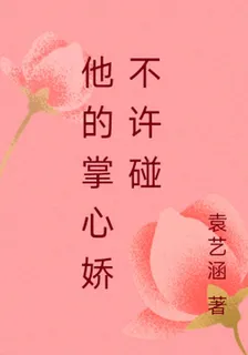他的掌心嬌不許碰 封面