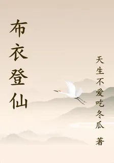 布衣登仙 封面