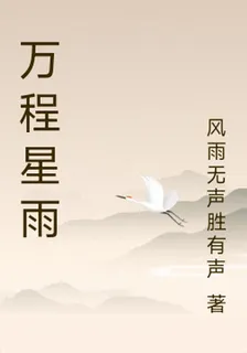 萬程星雨 封面