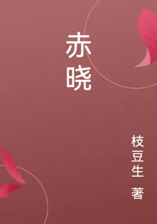 赤曉 封面