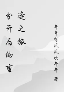 分開後的重逢之旅 封面