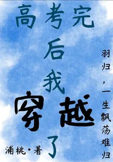 高考完後，我穿越了 封面