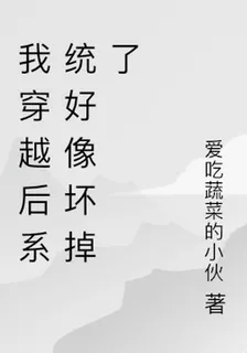 我穿越後系統好像壞掉了 封面