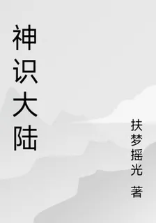 神識大陸 封面