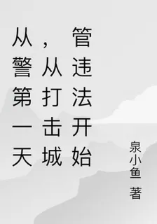 從警第一天，從打擊城管違法開始 封面