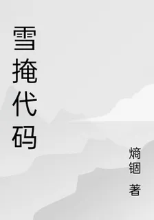 雪掩代碼 封面