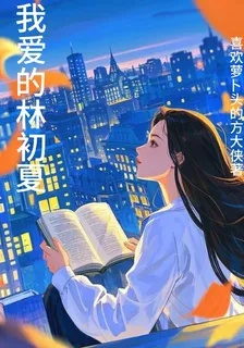 我愛的林初夏 封面