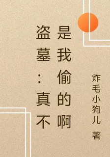 盜墓：真不是我偷的啊 封面