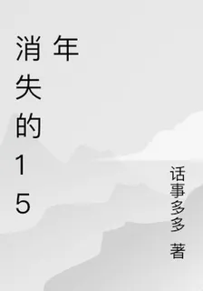 消失的15年 封面