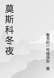 莫斯科冬夜 封面