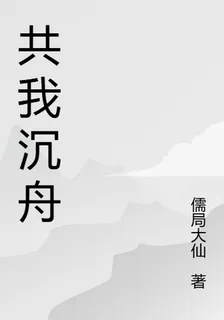 共我沉舟 封面