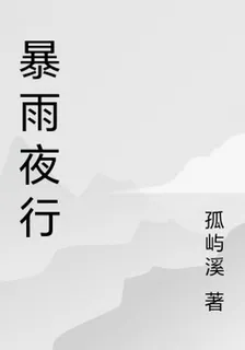 暴雨夜行 封面