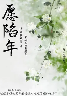 願陷年 封面