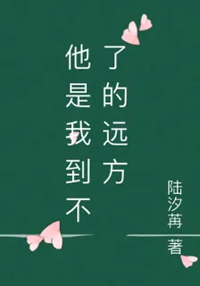他是我到不了的遠方 封面