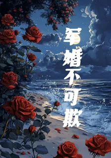 軍婚不可欺 封面