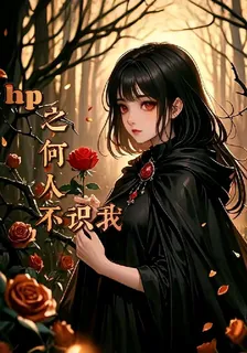 hp之何人不識我 封面