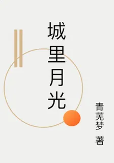 城裏月光 封面