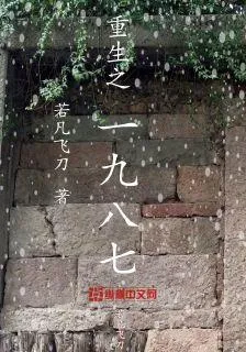 重生之1987 封面