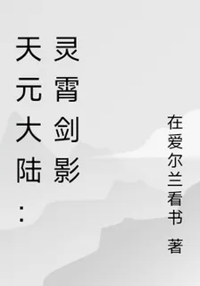 天元大陸：靈霄劍影 封面