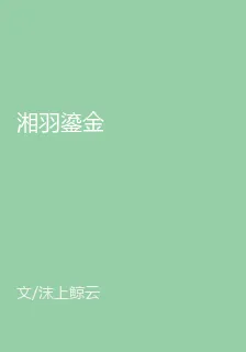 湘羽鎏金 封面